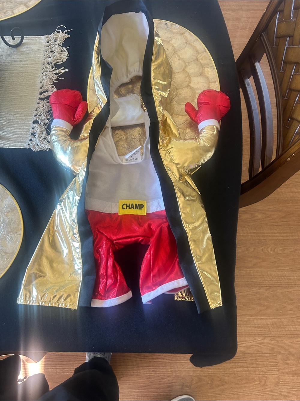 Champs Gold & Red Kids Boxing Costume with 'CHAMP' Patch